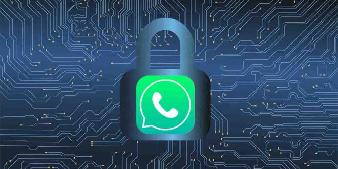 Lire la suite à propos de l’article Urgent : Comment activer la sécurité renforcée sur WhatsApp pour se protéger des cyberattaques